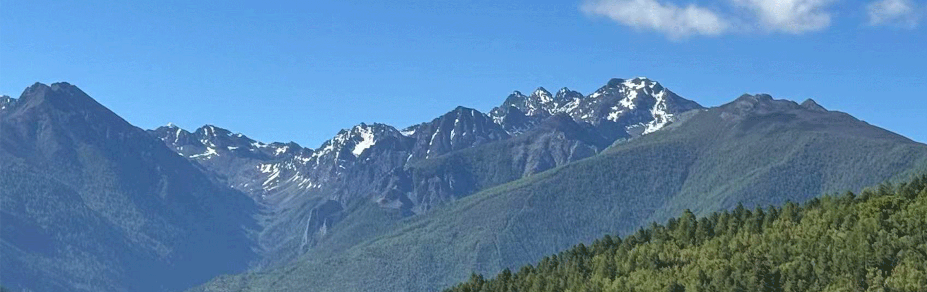 福多株式会社‗会社情報